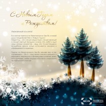 new-year-2013